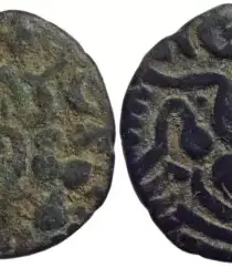 Indian Coin