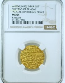 Bengal Sultan India